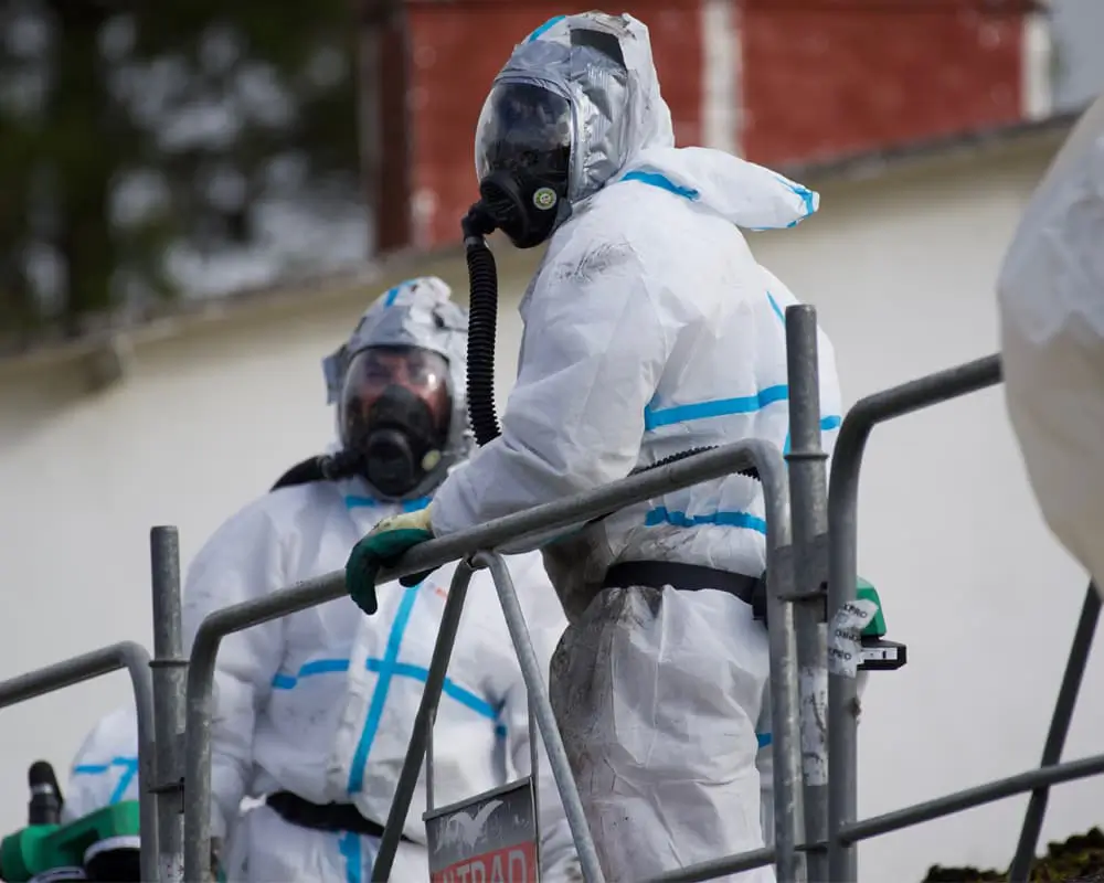 Asbestos removal service